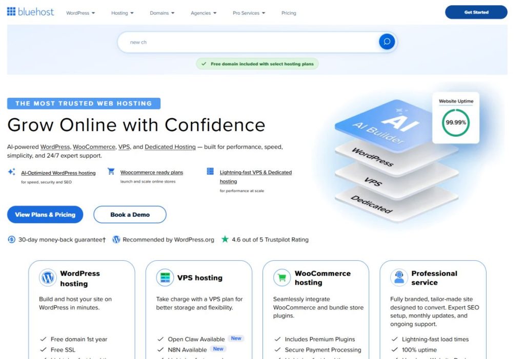 bluehost homepage
